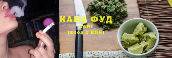 гашик Козельск
