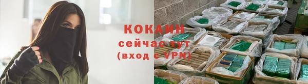 соль ск Александровское