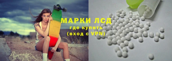 гашик Козельск