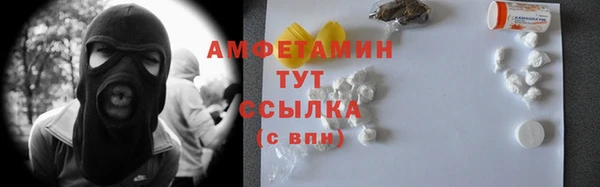 гашик Козельск