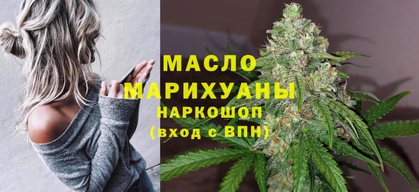 гашик Козельск