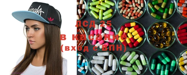 гашик Козельск
