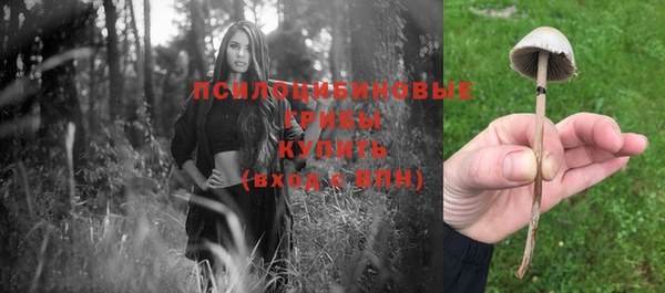 гашик Козельск