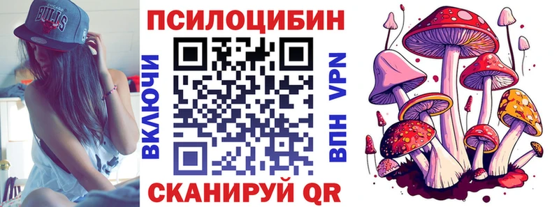 Псилоцибиновые грибы Psilocybine cubensis Кемерово
