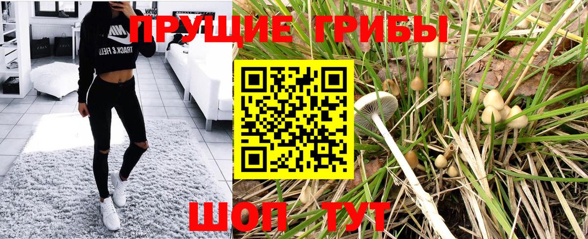 Псилоцибиновые грибы MAGIC MUSHROOMS Кемерово
