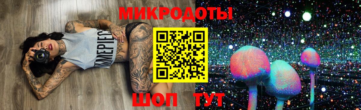 Псилоцибиновые грибы Psilocybe Кемерово
