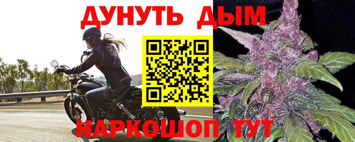 Конопля гибрид Кемерово
